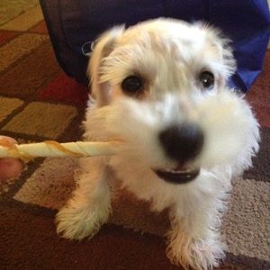 Meet your Posher, Bethany